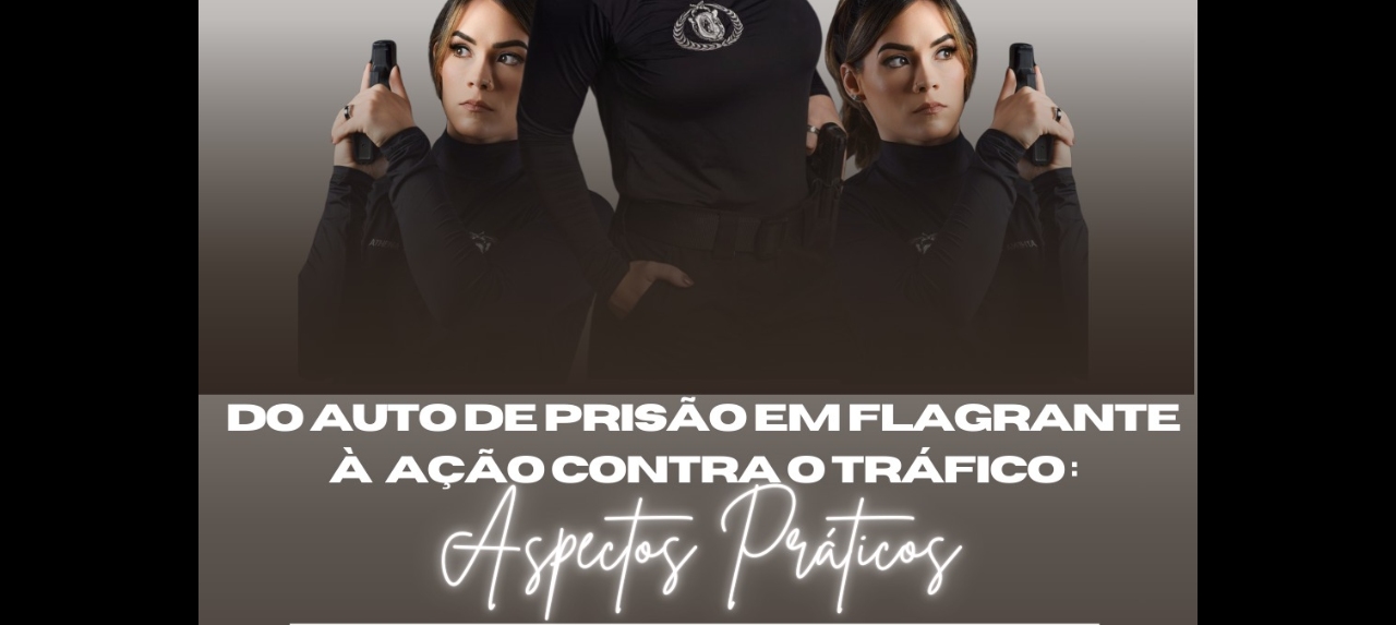 DO AUTO DE PRISÃO EM FLAGRANTE À AÇÃO CONTRA O TRÁFICO: ASPECTOS PRÁTICOS