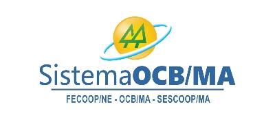 Imagem do Organizador