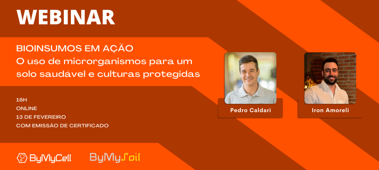 Bioinsumos em ação
