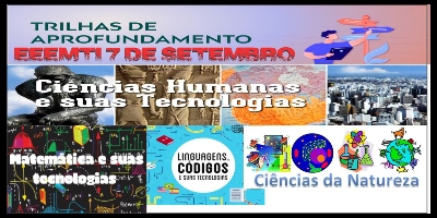 Imagem do Organizador