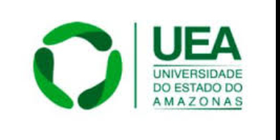 Imagem do Organizador