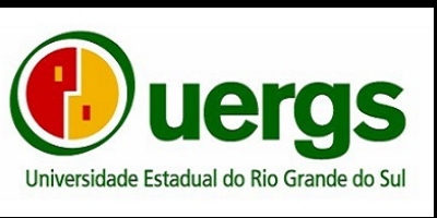 Imagem do Organizador