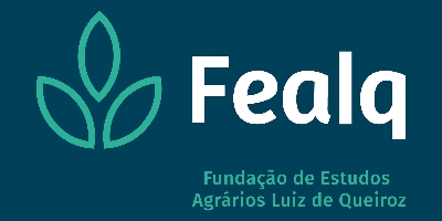 Imagem do Organizador
