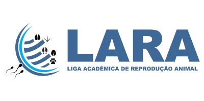 Imagem do Organizador