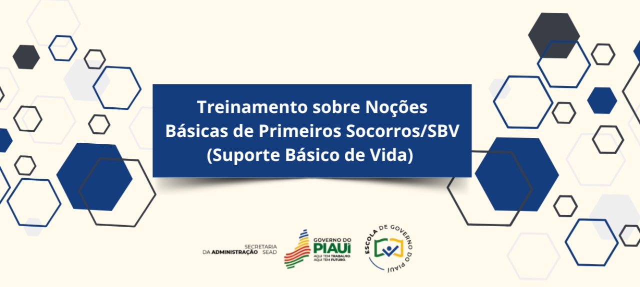 Treinamento sobre Noções Básicas de Primeiros Socorros/SBV (Suporte Básico de Vida)