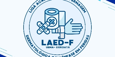 Imagem do Organizador