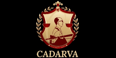 Imagem do Organizador