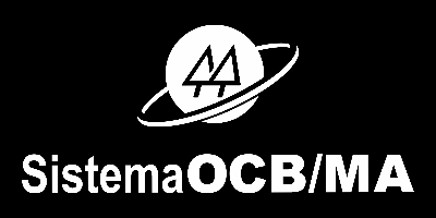 Imagem do Organizador