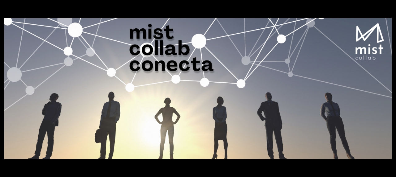 NETWORK-SE: COMUNICAÇÃO PARA CONEXÕES RELEVANTES