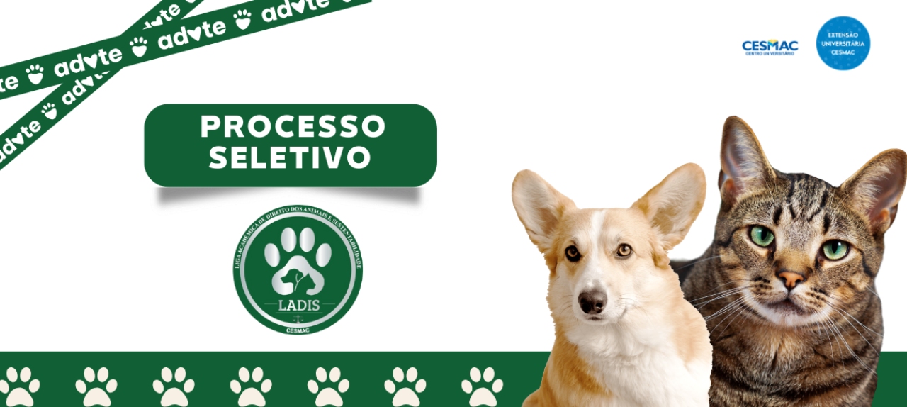 PROCESSO SELETIVO LADIS 2025