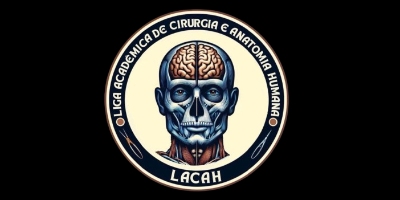 Imagem do Organizador