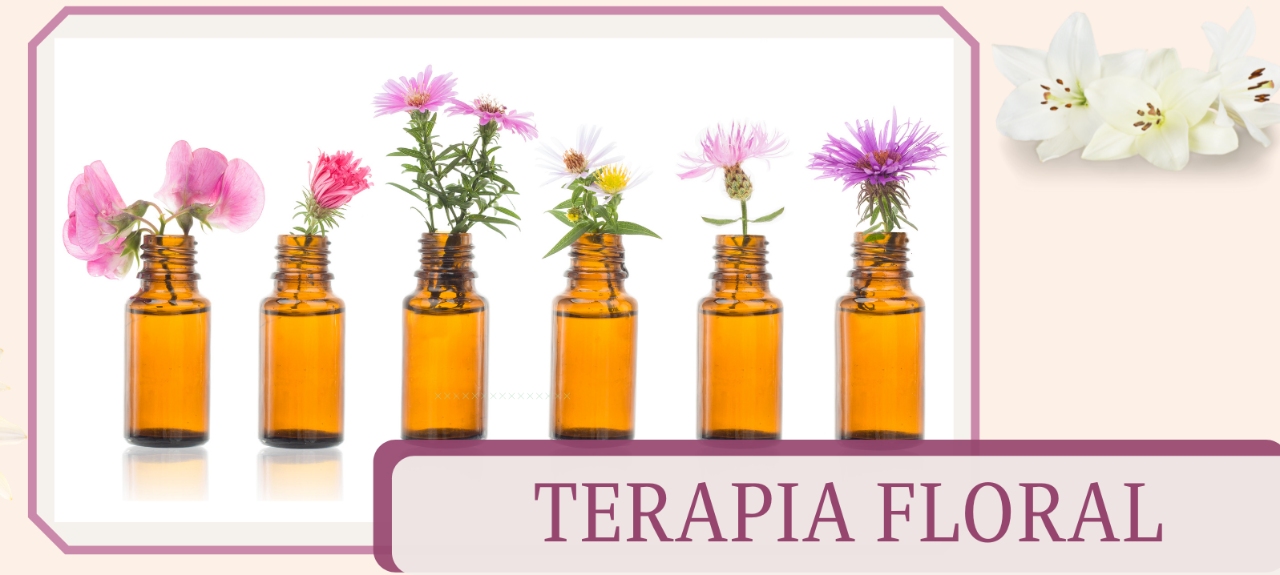 GTT PICS - CRF-MS: Atuação do Farmacêutico na terapia de floral