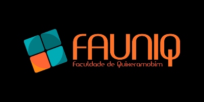 Imagem do Organizador