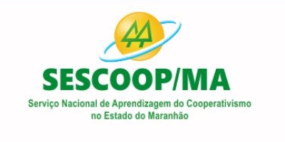 Imagem do Organizador