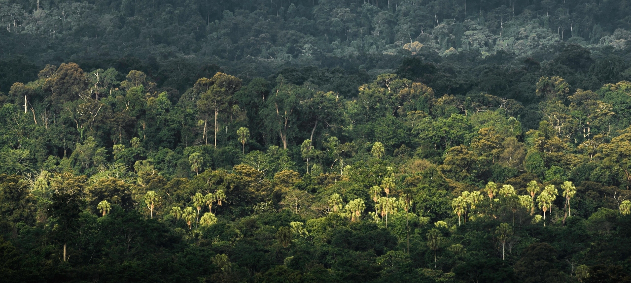 Conscientização Ambiental