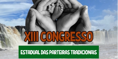 Imagem do Organizador