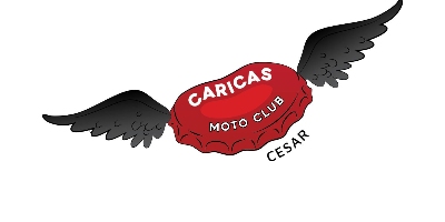 Imagem do Organizador