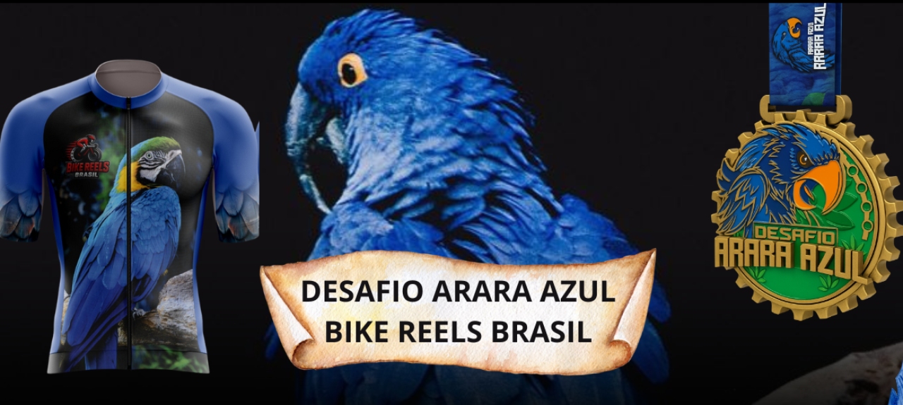Desafio da Arara Azul - Bike Reels Brasil