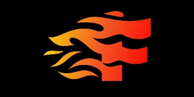 Imagem do Organizador