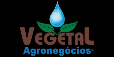 Imagem do Organizador