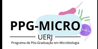 Imagem do Organizador
