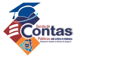 Imagem do Organizador