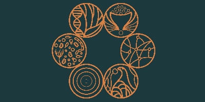 Imagem do Organizador