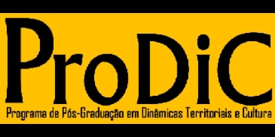 Imagem do Organizador