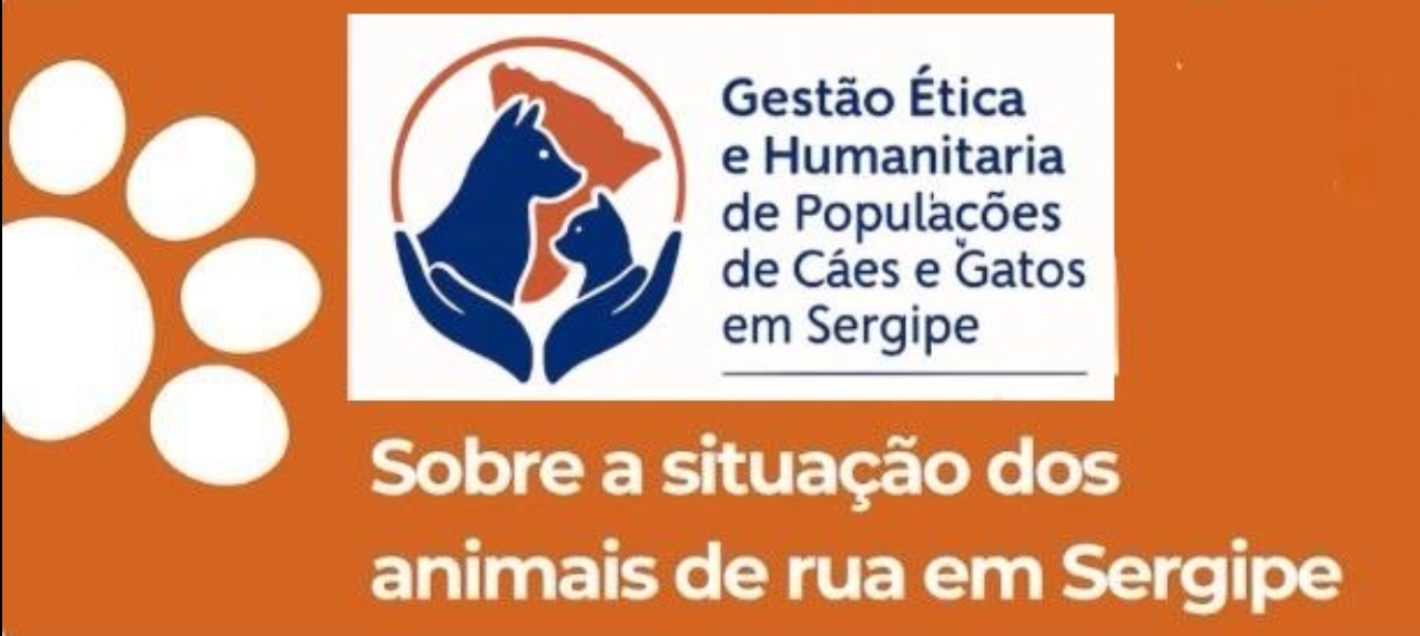 I Seminário Sergipano de Protocolo CEVD