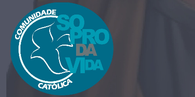 Imagem do Organizador