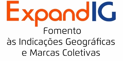 Imagem do Organizador