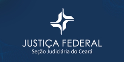 Imagem do Organizador