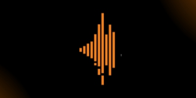 Imagem do Organizador