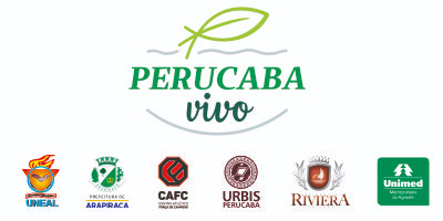 Imagem do Organizador