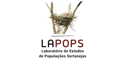 Imagem do Organizador