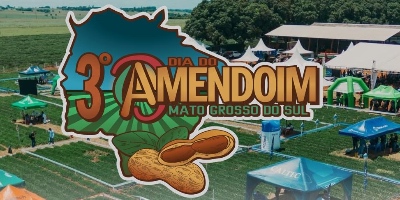 Imagem do Organizador