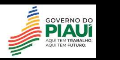 Imagem do Organizador