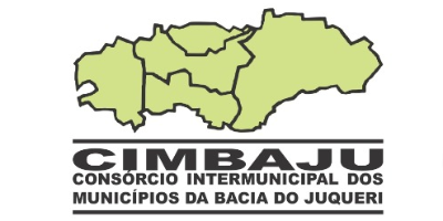 Imagem do Organizador