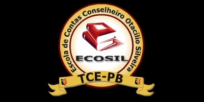 Imagem do Organizador