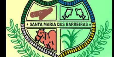 Imagem do Organizador