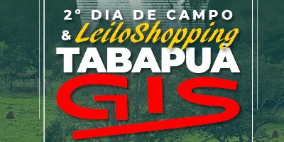 Imagem do Organizador