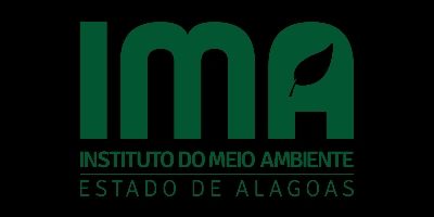 Imagem do Organizador