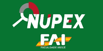 Imagem do Organizador