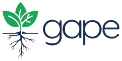 Imagem do Organizador