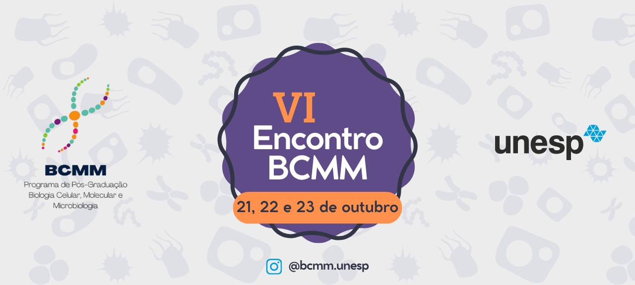 VI Encontro BCMM