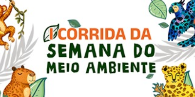 Imagem do Organizador
