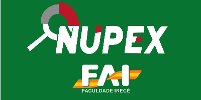 Imagem do Organizador