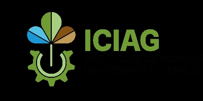 Imagem do Organizador