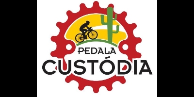 Imagem do Organizador