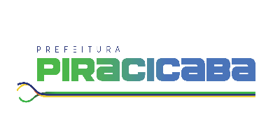 Imagem do Organizador